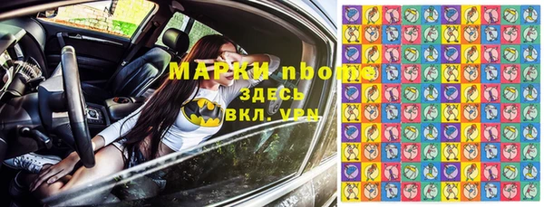 стаф Алзамай