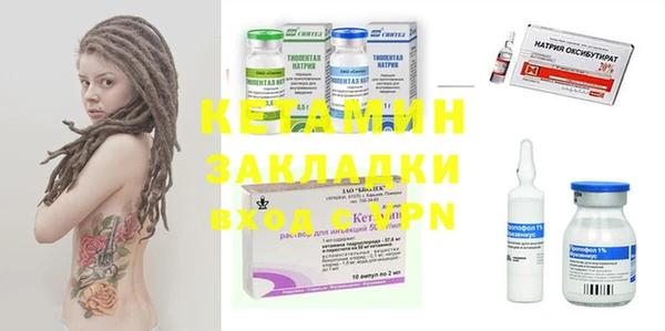 мет Алексин