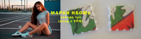 стаф Алзамай