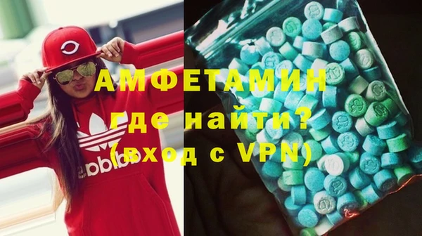 стаф Алзамай