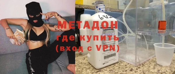 стаф Алзамай