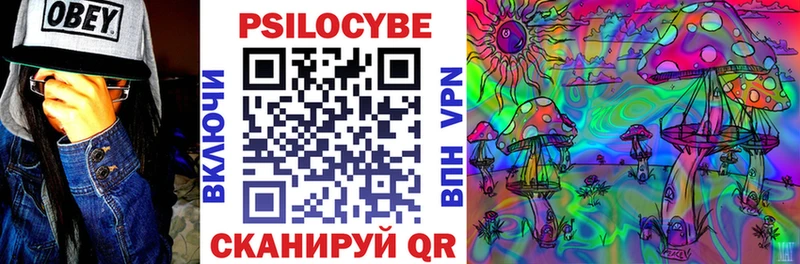 Галлюциногенные грибы MAGIC MUSHROOMS Петровск-Забайкальский